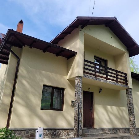 Villa Casa Damian Bertea Exterior foto