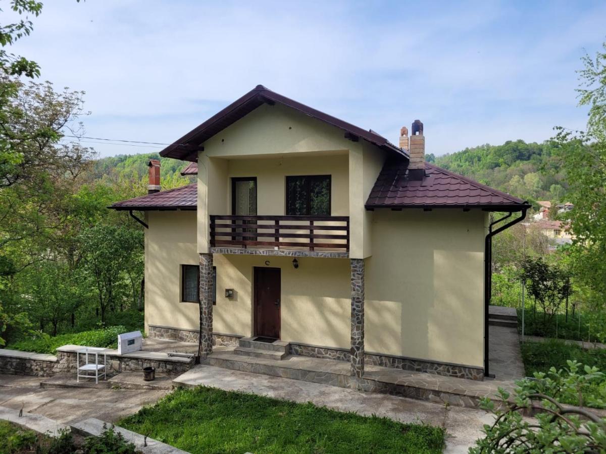 Villa Casa Damian Bertea Exterior foto